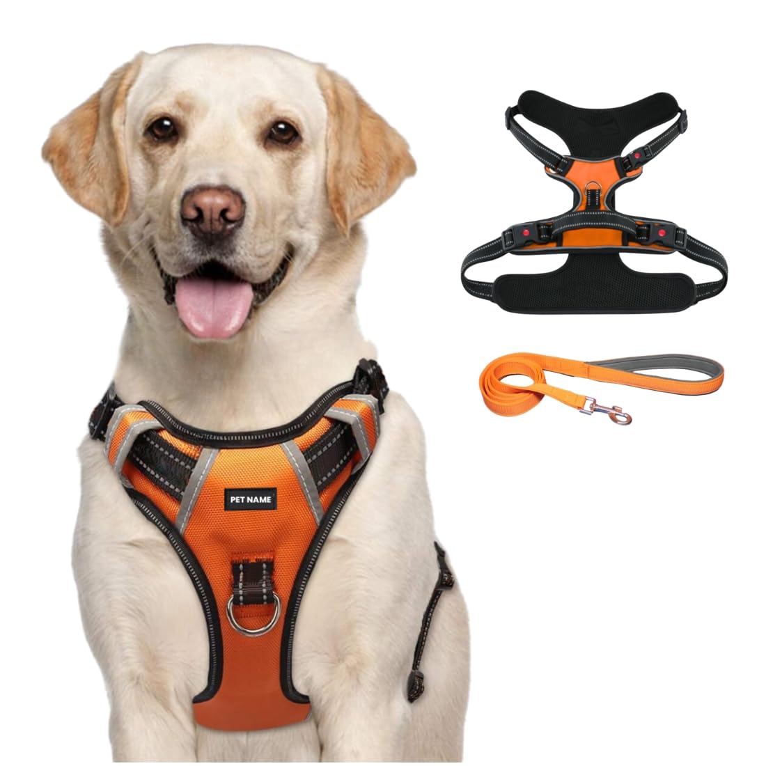 PAYTON PERRY Customized No Pull Dog Chest Belt Harness & Leash Combo Set | Night Reflective | 4 Adjustable Buckles (L, Orange) (B0CY8G2WXS) Amazon Price History, Amazon Price Tracker