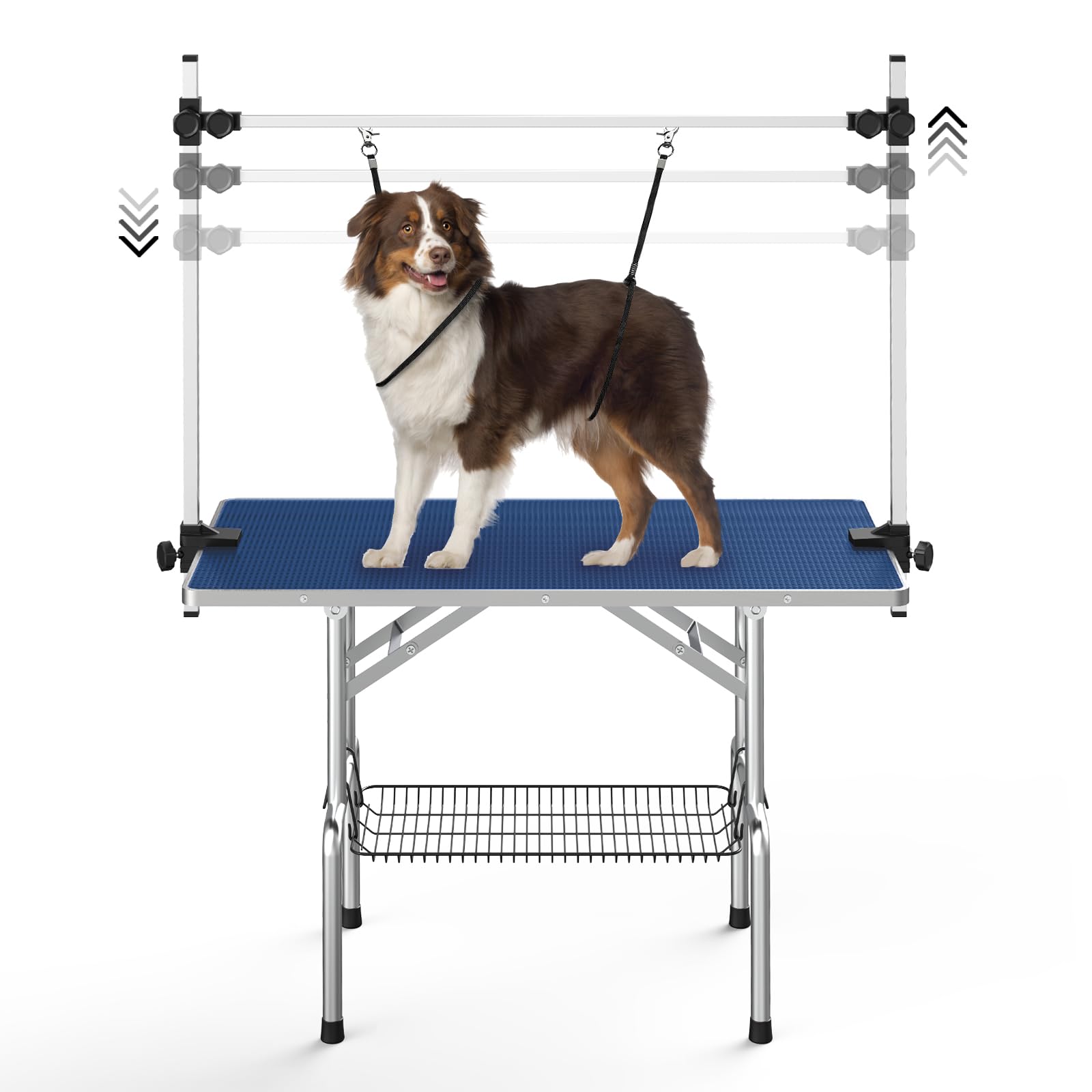 Lyromix 36'' Stainless Steel Pet Dog Grooming Table, Arm/Noose/Tray, Blue
