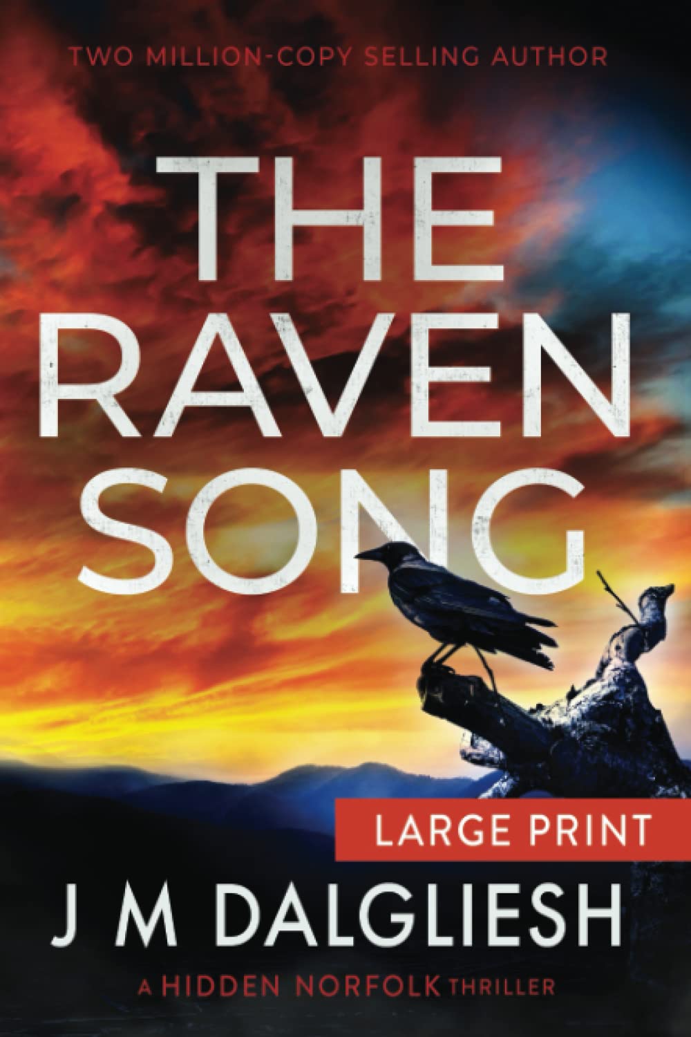 The Raven Song: A Hidden Norfolk Thriller (Large Print)