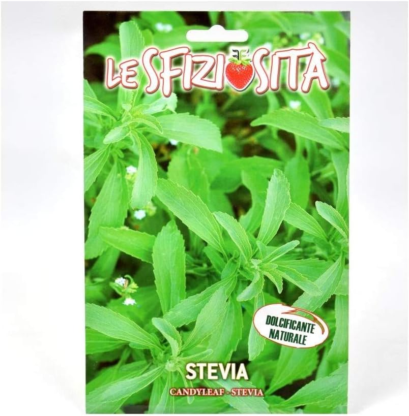 Semi Pianta Stevia Amazon.it Giardino e giardinaggio