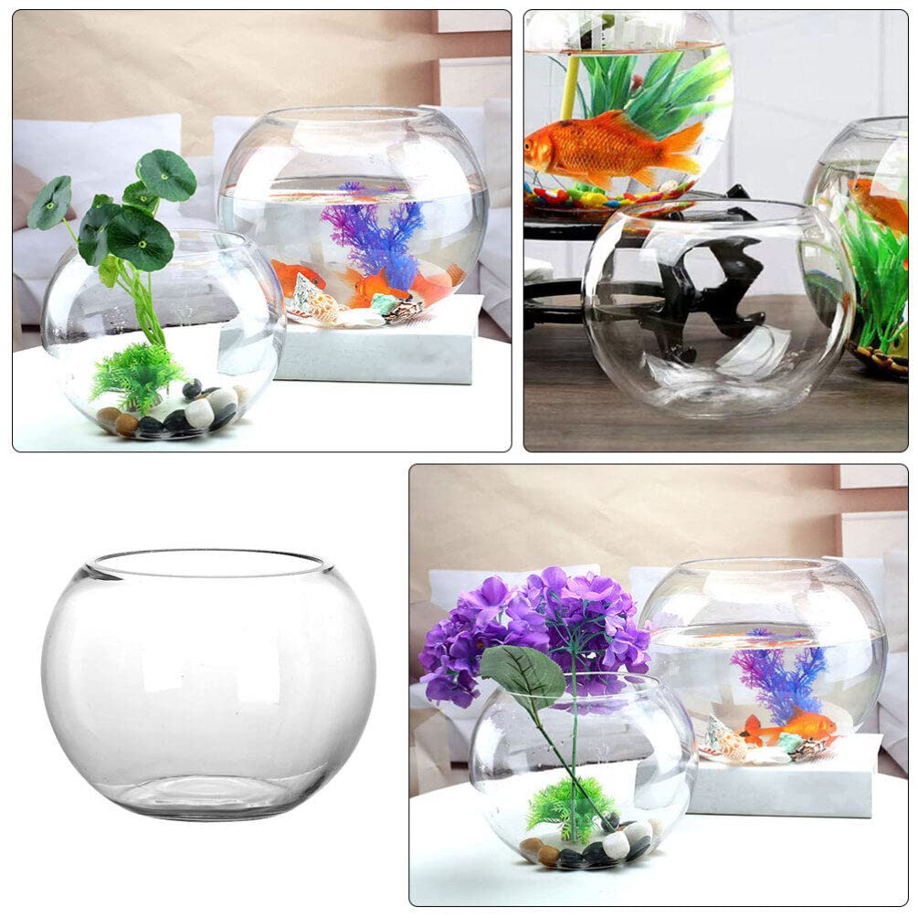 Terrariums de Réservoir de Poissons en Verre Récipient Transparent Décoration de Bureau Bol Rond Affichage Hydroponique Globe Bol Décoratif Poisson Rouge