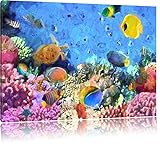 Fischvielfalt über Korallenriff auf Leinwand, XXL riesige Bilder fertig gerahmt mit Keilrahmen, Kunstdruck auf Wandbild mit Rahmen, günstiger als Gemälde oder Ölbild, kein Poster oder Plakat, Format:100x70 cm