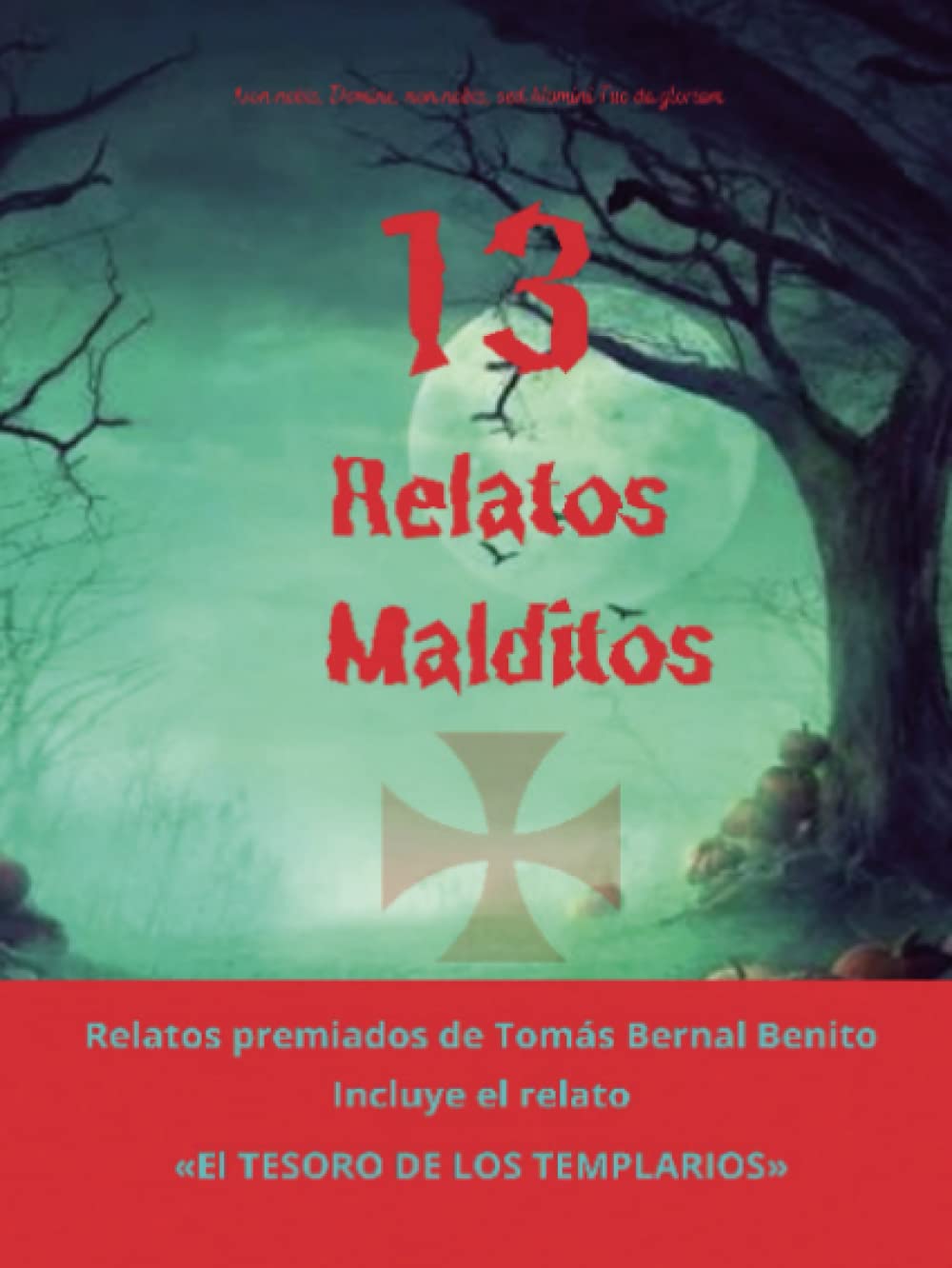 13 Relatos Malditos (Spanish Edition)