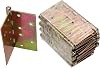 KOTARBAU 5907465908078 Door Hinges, GoldYellow, 100 mm x 100 mm