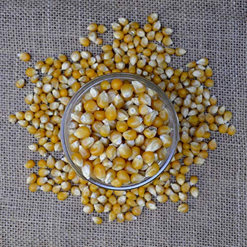 Mushroom Popcorn By Hoosier Hill Farm, 4Lb (Pack Of 1) #TOP3