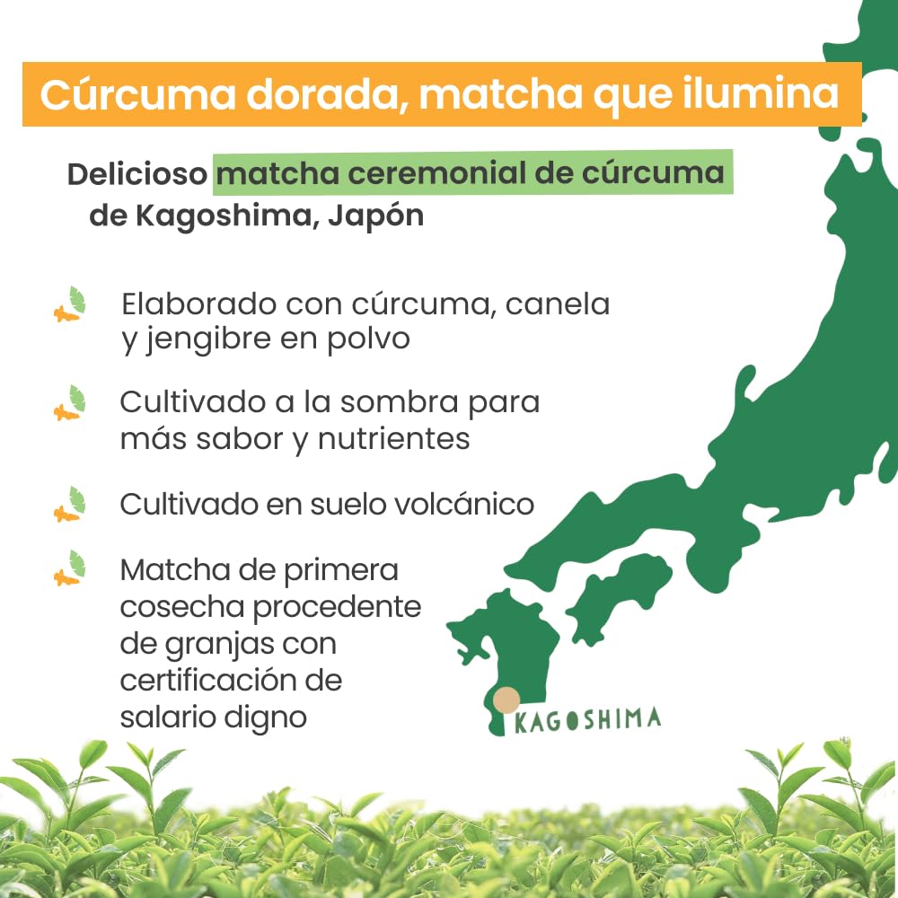 PureChimp Polvo de Matcha Ceremonial Sabor Cúrcuma 50g. 100% Té Verde Puro con Cúrcuma, Canela y Jengibre. Cultivado a la Sombra para Latte y Recetas. Tarro de Vidrio Reciclable. Rico en Antioxidantes