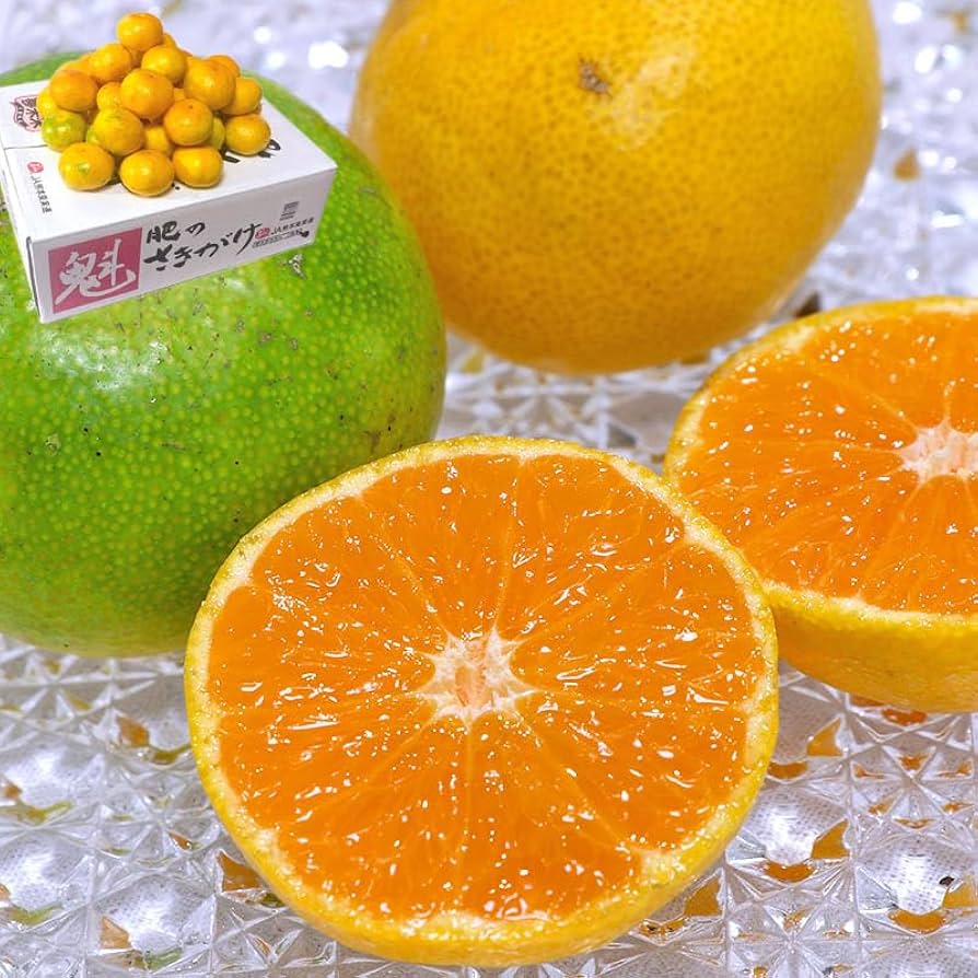 みかん様の専用です。 みかんページ 蜜柑様 ミカン様 蜜柑様 レビュー】ZXシリーズ10