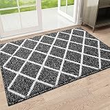 Finchitty Indoor Door Mat, Non-Slip Absorbent Resist Dirt Entrance Mat, Washable Mats for Entryway,