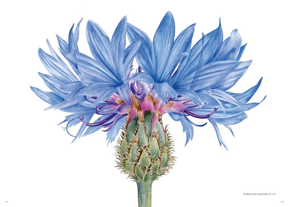 The Souls of Flowers: The Loveliest Flowers in Our Meadows and Gardens (Large Encyclopedias)