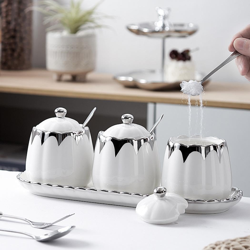 Porcelain Condiment Jar Spice Container with Lids, Spoon and Tray