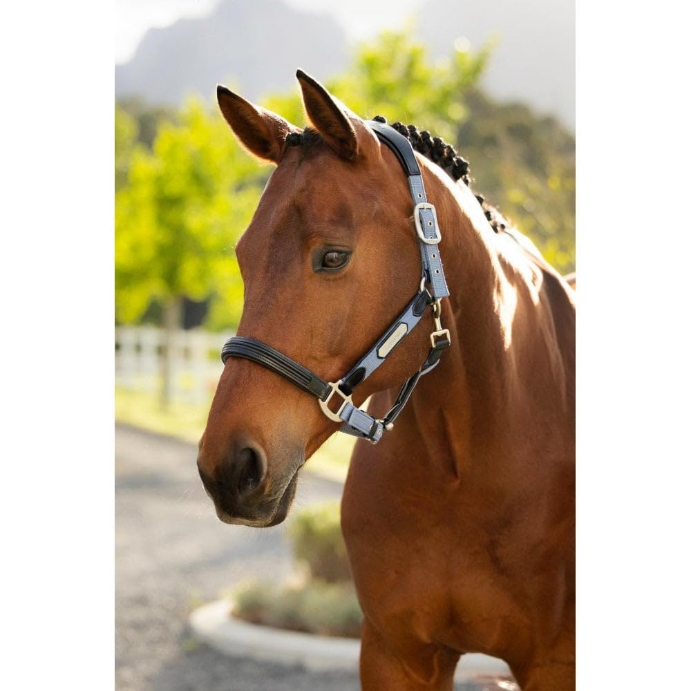 LeMieux Capella Headcollar - Azul polvo