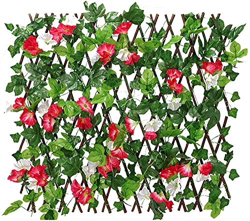 Siepe Artificiale Ornamentale Edera artificiale Siepe di protezione Recinzione Schermo per la privacy Balcone Foglie di edera Recinzione per la privacy Edera artificiale telescopica EIIDJFF