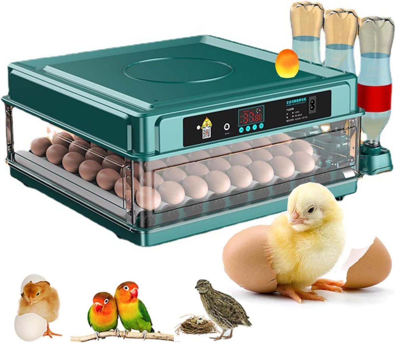 Amazon | 【Ptomoto】 鳥類の孵化 自動インキュベーター 自動孵卵器
