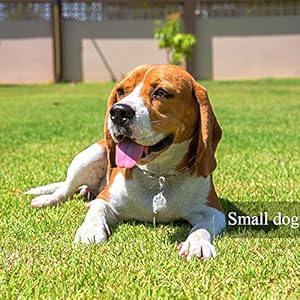 IVIA Dog Tag Clips / 2 Pack/Multiple Size 304 Stainless Steel Quick Clip with Rings/Easy Change Dog Cat ID Tag Holder for Small pet Collars and Harnesses.(2 Small Grey)