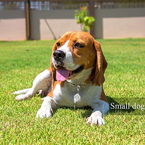 IVIA Dog Tag Clips / 2 Pack/Multiple Size 304 Stainless Steel Quick Clip with Rings/Easy Change Dog Cat ID Tag Holder for Small pet Collars and Harnesses.(2 Small Grey) IVIA Dog Tag Clips / 2 Pack/Multiple Size 304 Stainless Steel Quick Clip with Rings/Easy Change Dog Cat ID Tag Holder for Small pet Collars and Harnesses.(2 Small Grey)