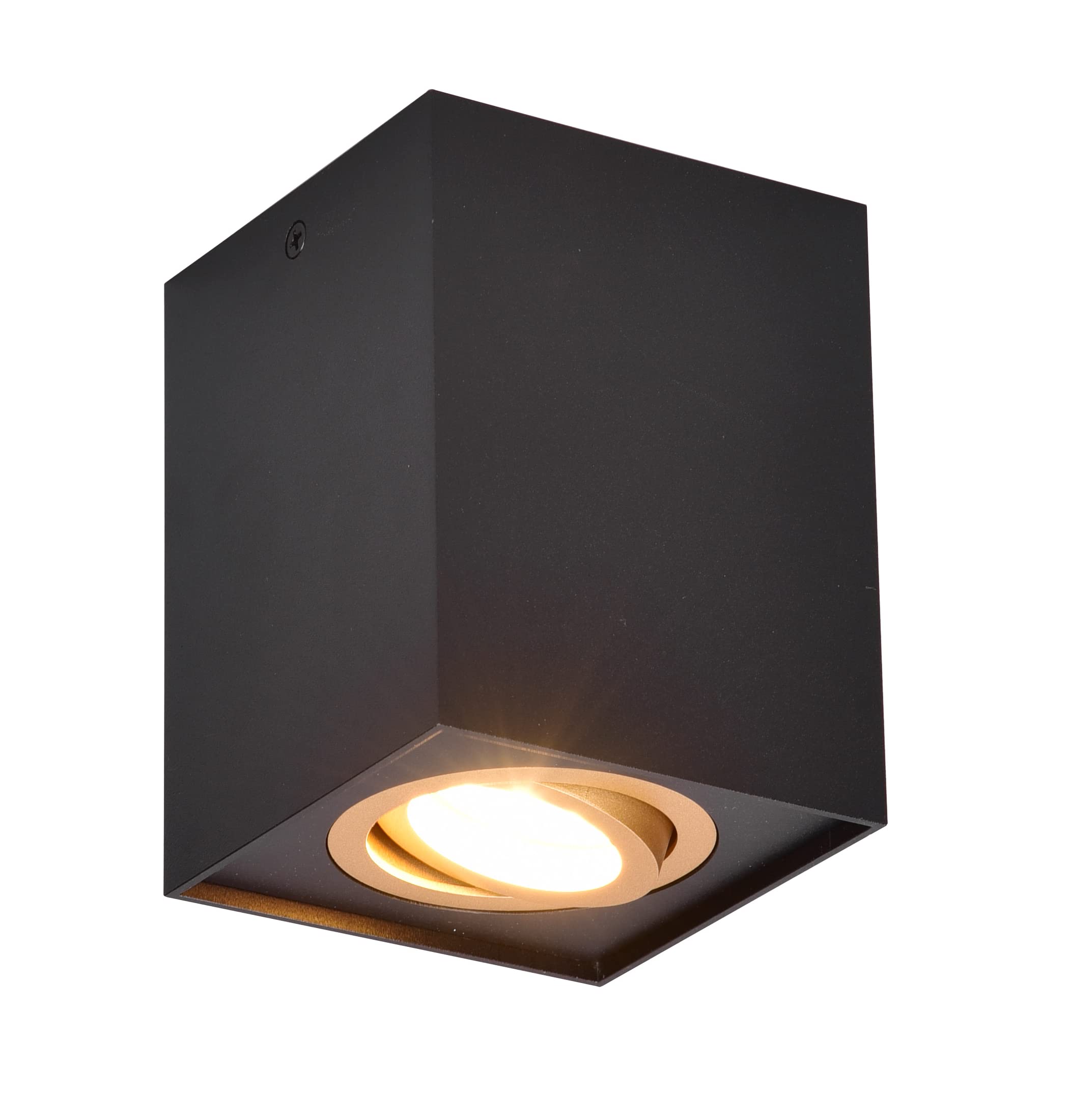 Trio Leuchten Biscuit 613000180 Ceiling Light Metal Black/Gold-Coloured 1x GU10