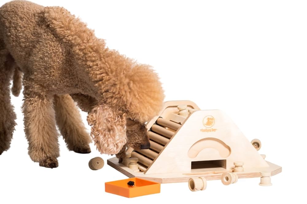 Amazon.com: My Intelligent Dogs Pyramid - Brain Game for Dogs, Interactive Wooden Puzzle Toy for Mental Stimulation, Boredom Buster for Smart and Active Dogs : Toys & Games