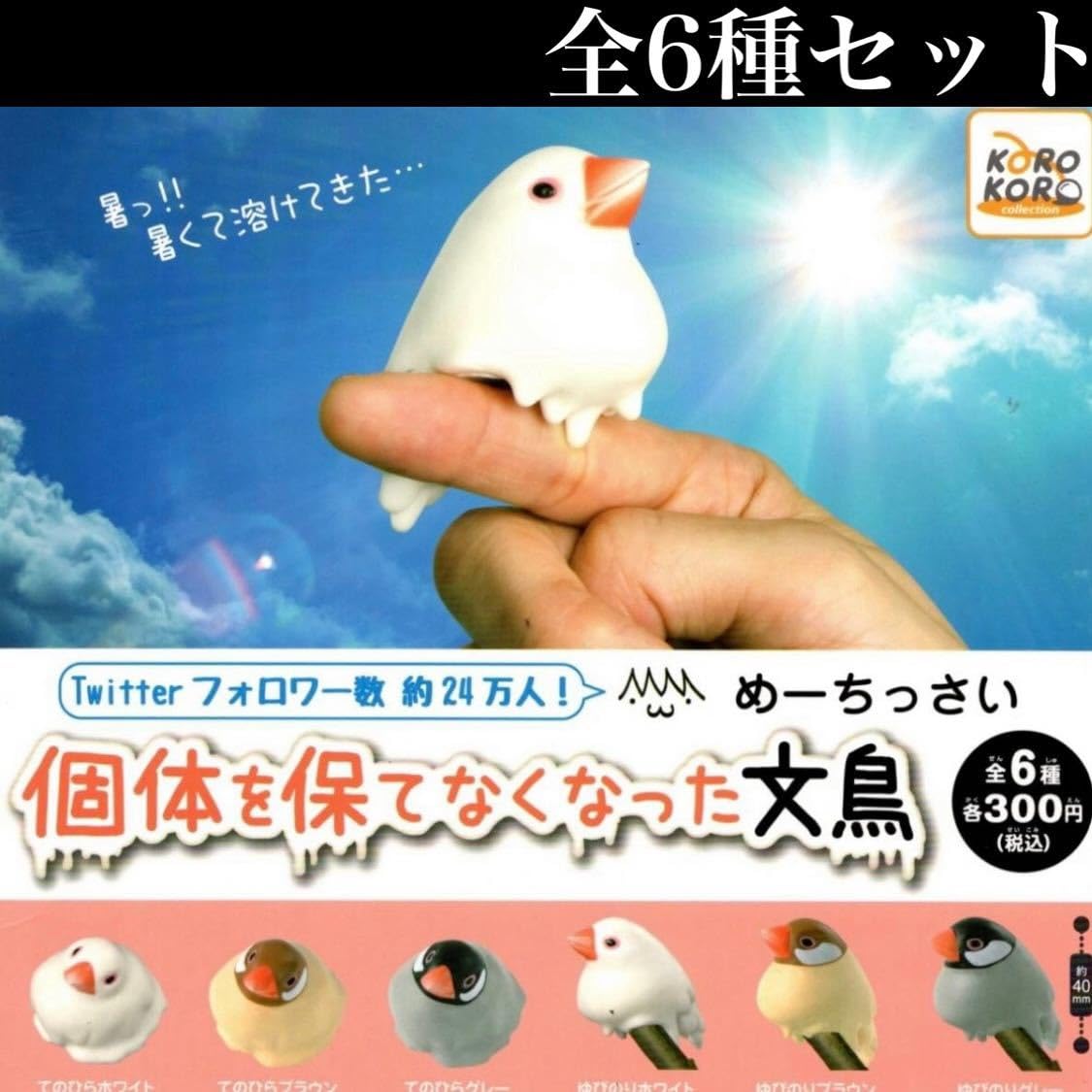 文鳥出品 Amazon.co.jp: 個体を保てなくなった文鳥 全6種セット めーちっさい指