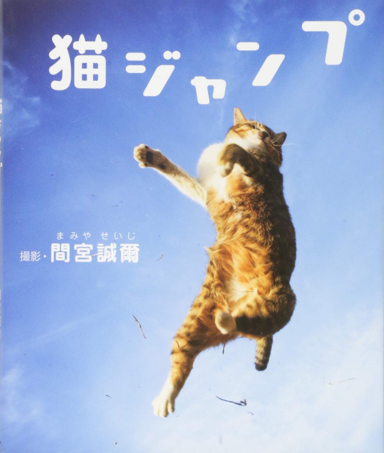 猫ジャンプ 間宮 誠爾 本 通販 Amazon