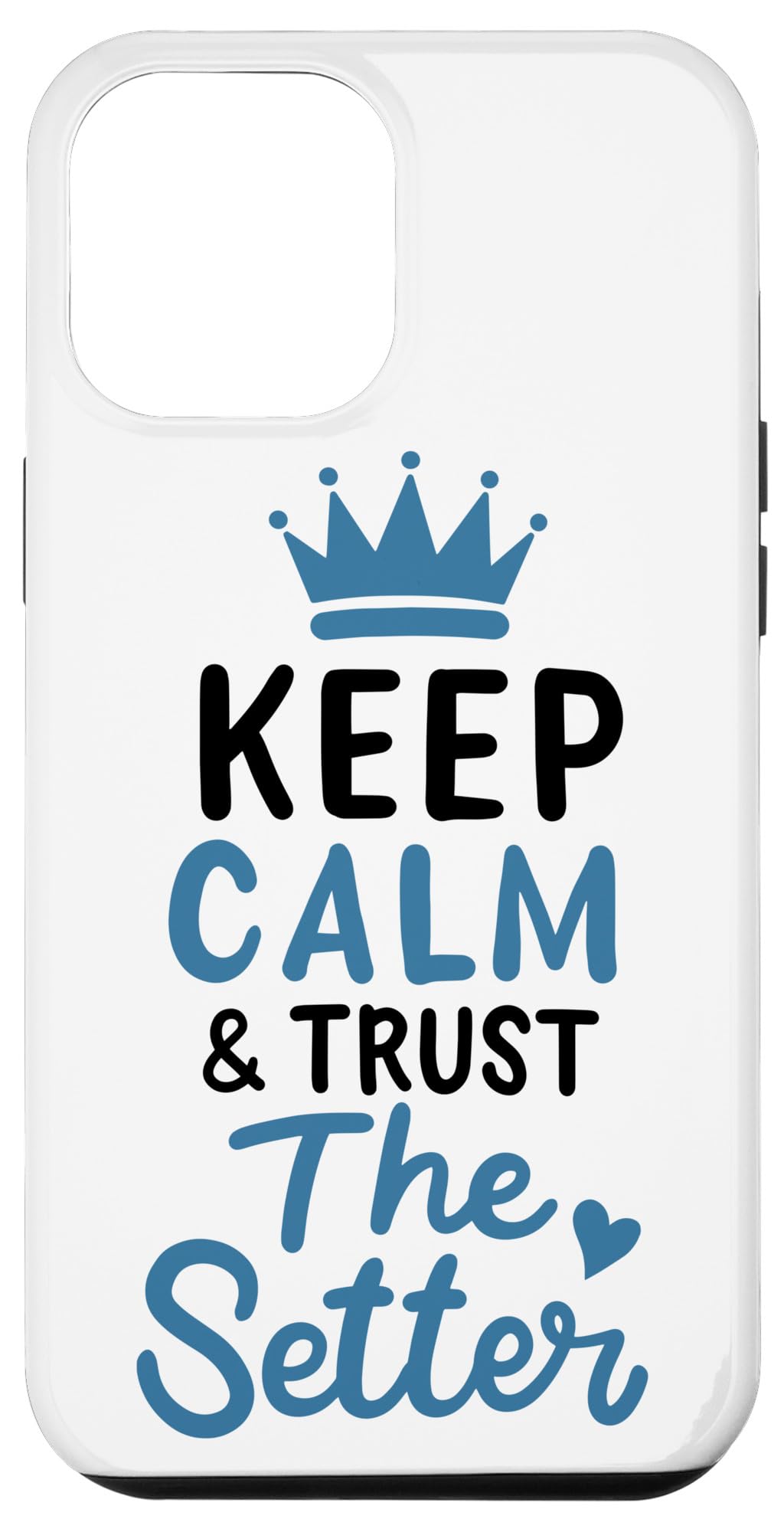 Volleyball Setter Quotes Sayings