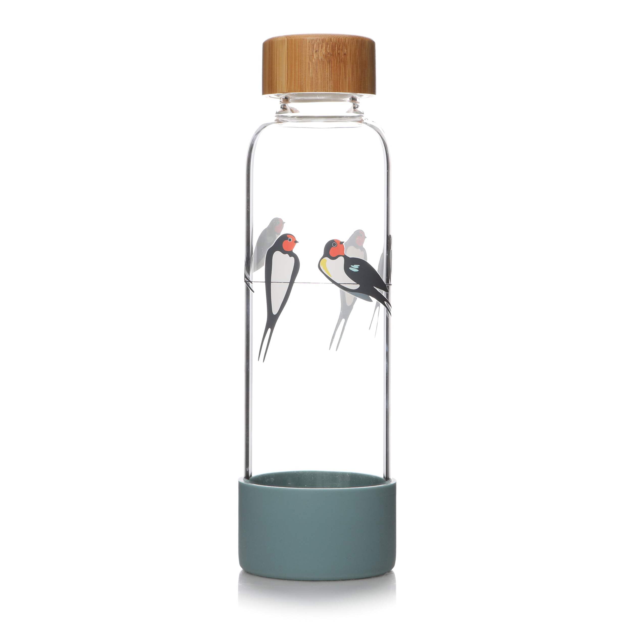 NEW RSPB Glass Water Bottle - Swallows