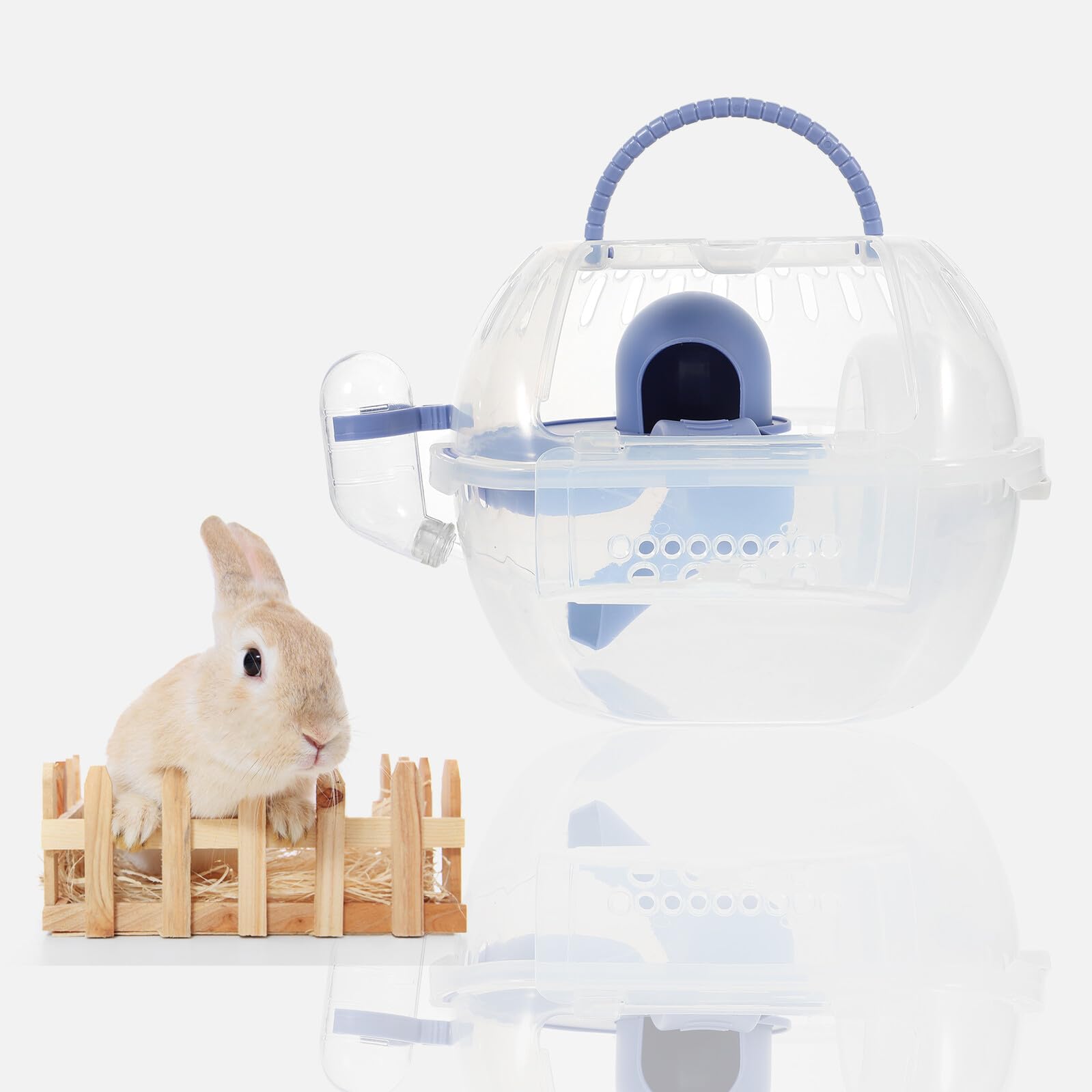 Hamstertransportbox aus Kunststoff für Kleintiere, Blau