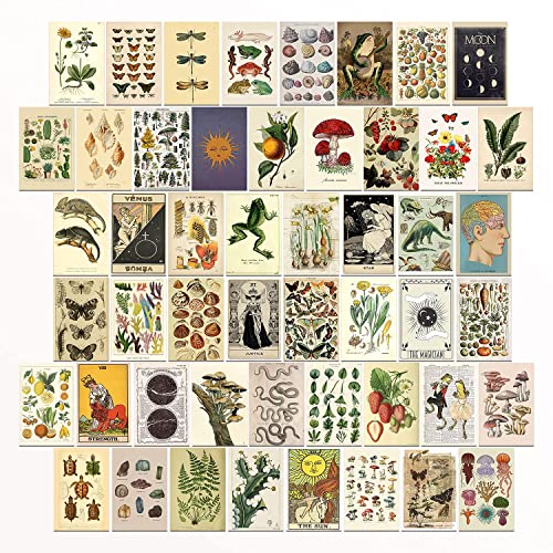 Vintage Room Bedroom Wall Dorm Posters Pictures - Cottagecore Decor, Teen Boys Girls Bedroom - Photo Collage Kit for Wall Aesthetic, 50PCS 4X6 INCH