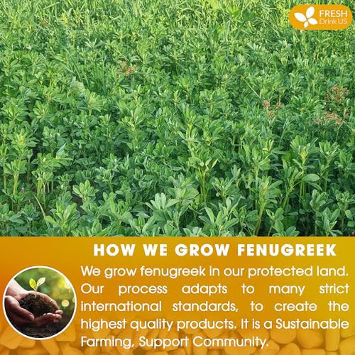 Image of FreshDrinkUS, Premium 120 Fenugreek Tea Bags, 100% Natural & Pure from Fenugreek. Fenugreek Herbal Tea. Made with Natural Material Tea Bags. No Sugar, No Caffeine, No Gluten, Vegan.