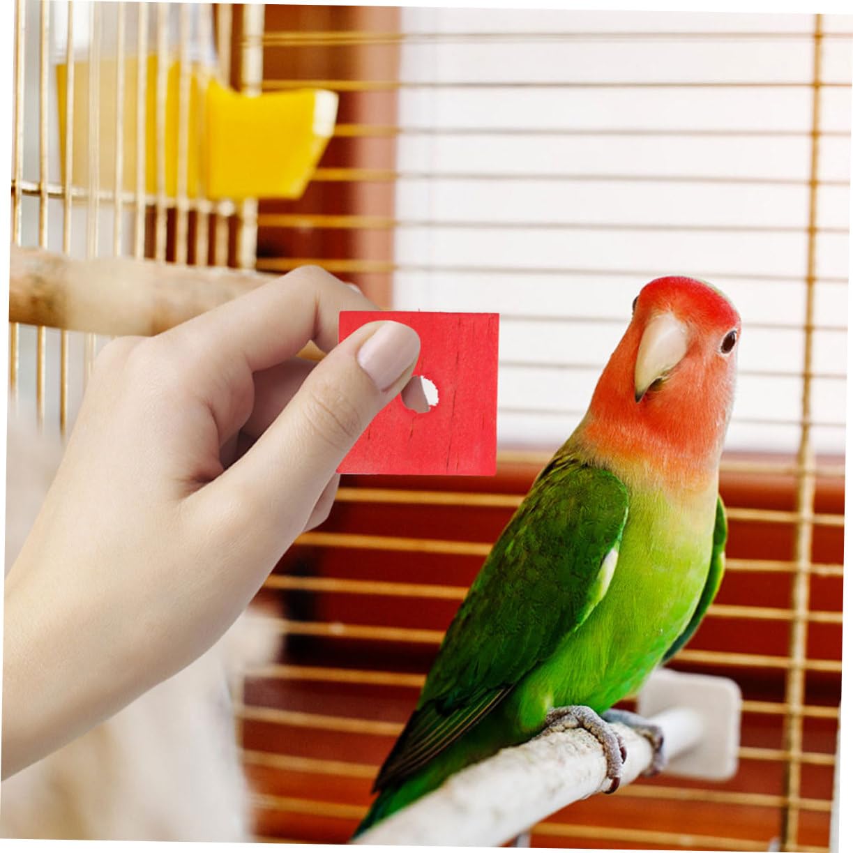 Kisangel 250piezas Juguetes De Madera para Pájaros Bloques para Masticar Juguetes para Periquitos y Aves Pequeñas para Desarrollar Habilidades y Mantener El
