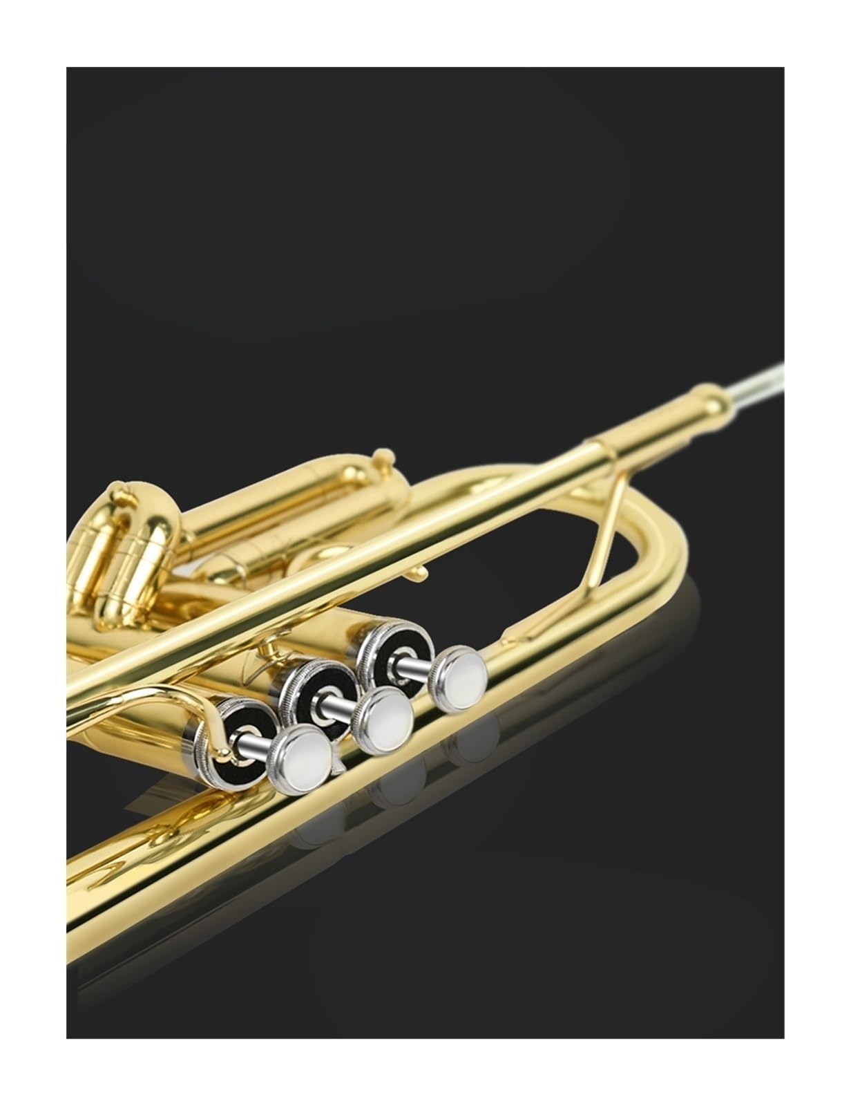 trąbka instrument Instrument trąbkowy B, J, uczniowie szkół podstawowych, początkujący zespół perkusyjny, profesjonalny występ