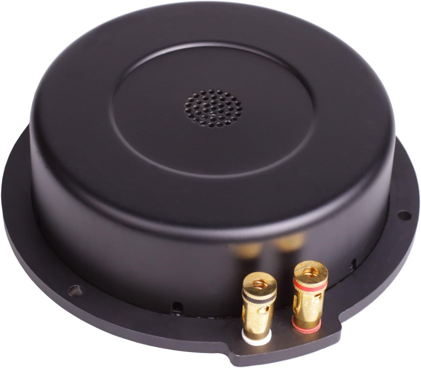 Reckhorn Bassshaker Body Sound Converter for Home Cinema, Playseats + Therapy
