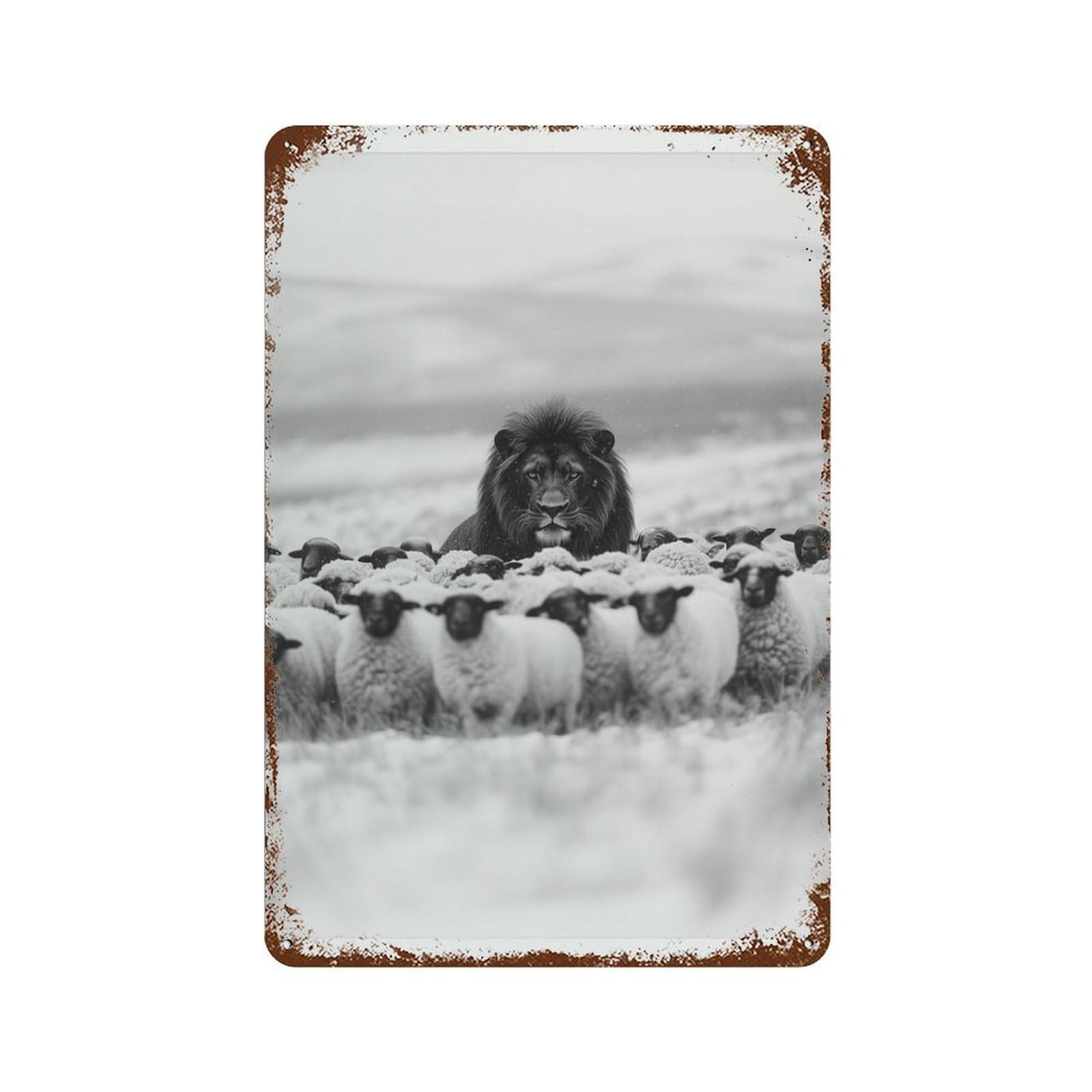 xiaoxiaoshen Lion Among Sheep Black And White Animal Photography Wall Decor Art Metal Tin Poster Modern Home Decor Art Home Bar Shop Decorations Vintage Sign 30x20cm