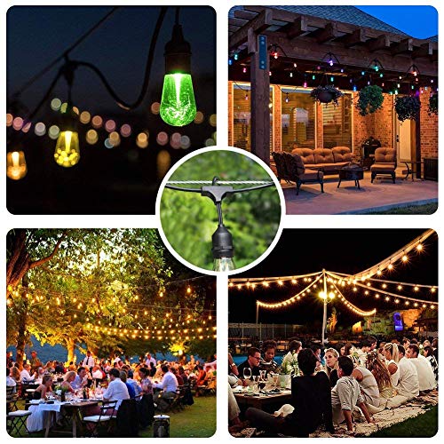 Litcher Globe String Light Suspension Kit, Outdoor Light Guide Wire, Vinyl Coated Stainless Steel Steel Cable，Include 150Fts Transparent Pvc And 304 Stainless Steel Wire Cable, Turnbuckle And Hooks #TOP5