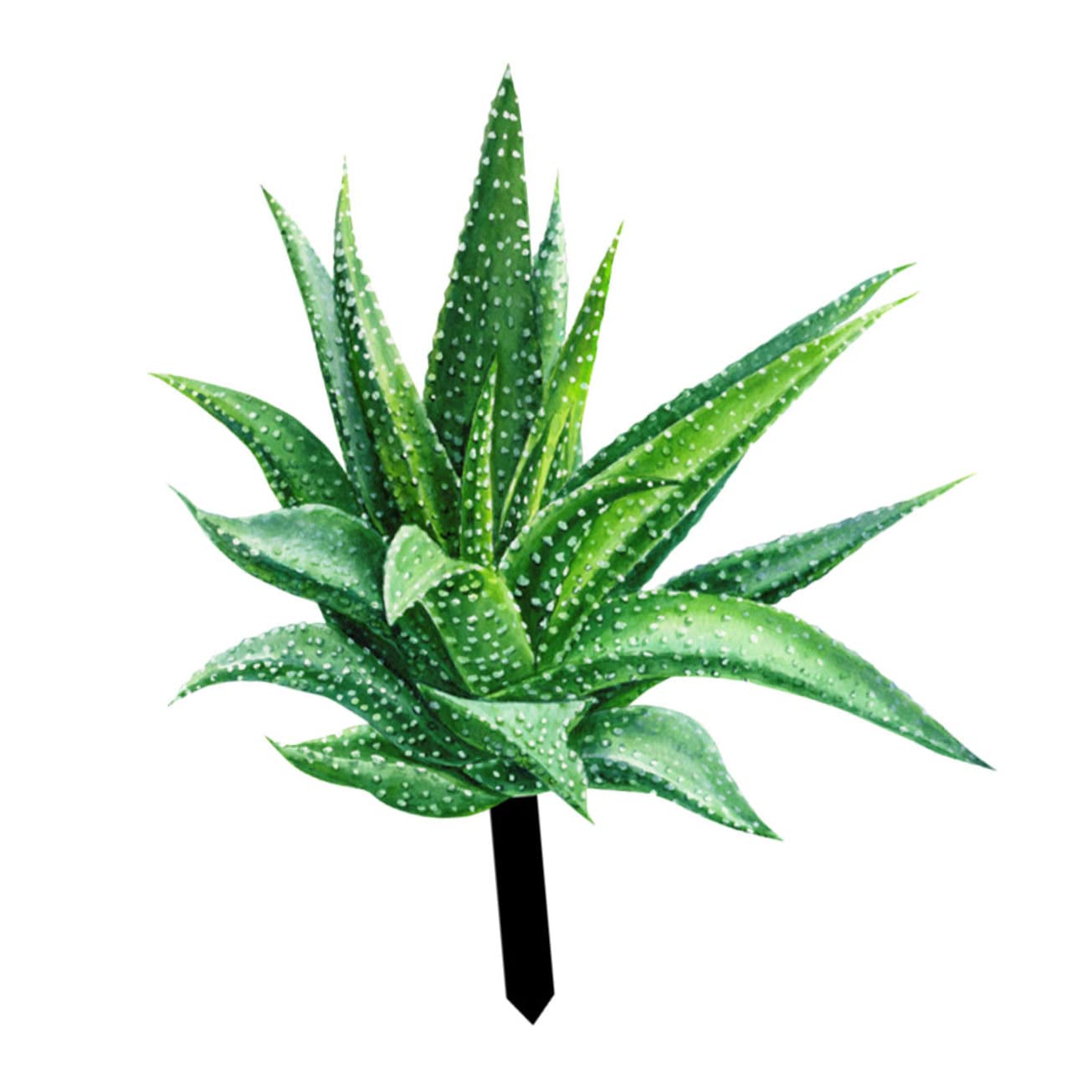 COLLBATHDecorative Garden Inserts Rustic Agave Sculpture Simulated Succulent Plants Fake Succulent Plants Garden Figurines Garden Flower Art Garden Flower Stake Aloe Garden Acrylic Outdoor