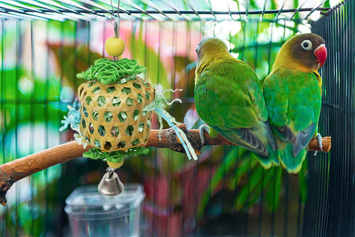 Bird Toys for Conures Parakeet, Birds Cage Accessories, Bird Shredding Foraging Toys for Cage - image 4