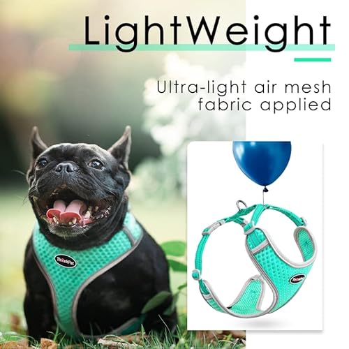 Thinkpet Reflective Breathable Soft Air Mesh No Pull Puppy Choke Free Over Head Vest Harness For Puppy Small Medium Dogs And Cats Teal Medium #TOP2