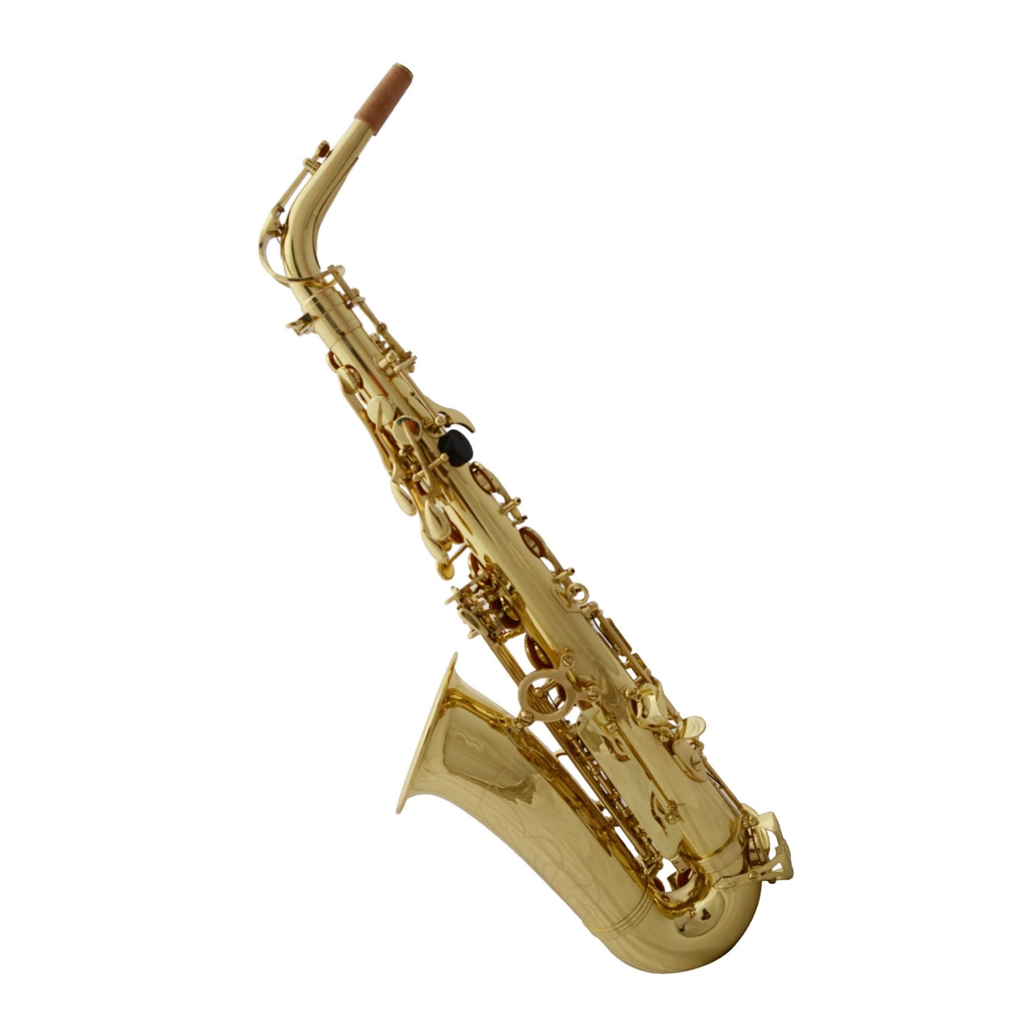 Strumento Musicale Sassofono Contralto In Mi Bemolle Professionale Verniciato Sassofono