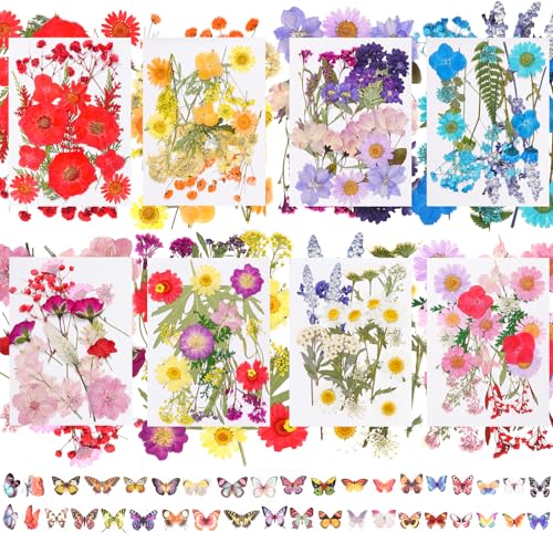 228 piezas de flores secas prensadas con stickers de mariposas para manualidades miniatura 1