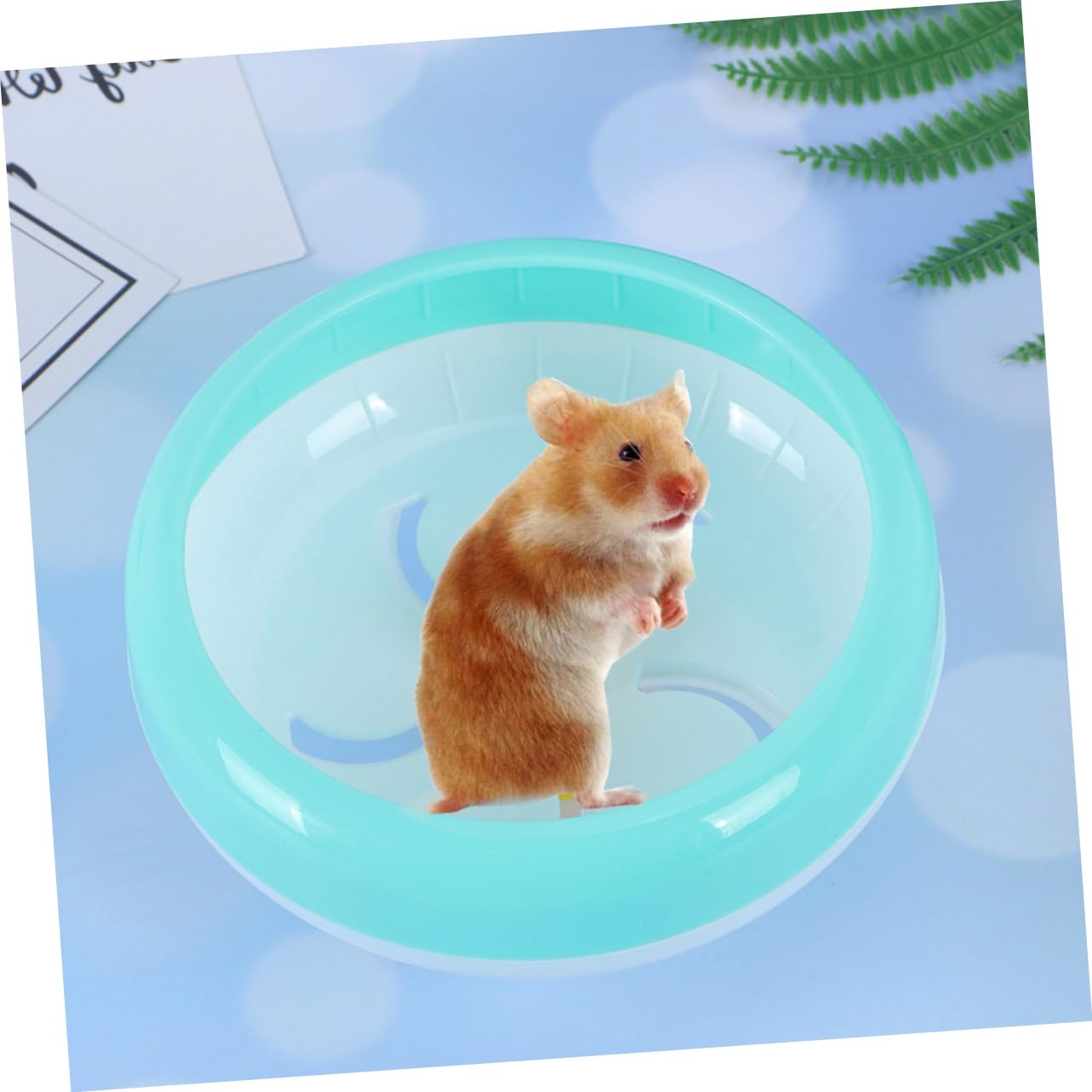 CIYODO Hamster Exercise Wheel Small Pet Running Spinner Silent Dwarf Hamster Toys Random