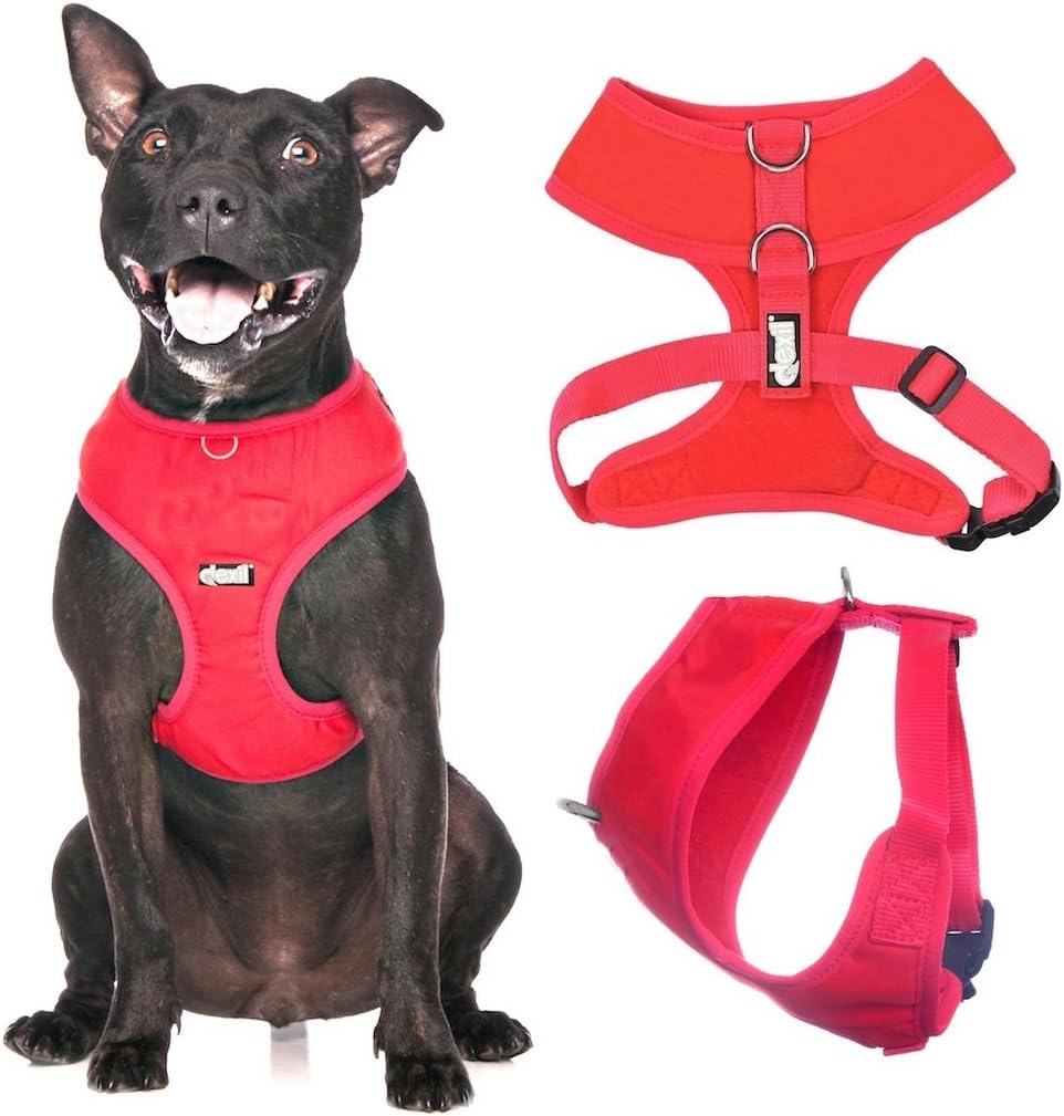 Dexil Elite Range Luxury Padded Waterproof Adjustable Back and Front Ring Non-Pull Medium Pet Dog Vest Harness (Flash Red - Image 3