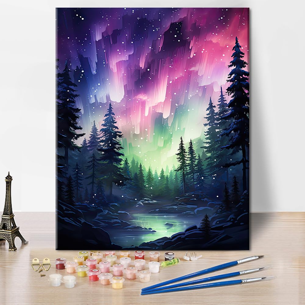 Landscape Paint by Numbers Fantasy Landscape with Aurora Borealis in a Night Sky Paint by Number with Brushes and Pigment Oil Painting, 16x20 Inch