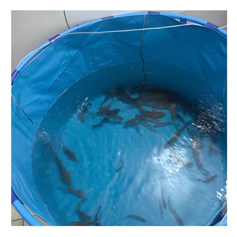 Serbatoio d'acqua in tela per acquario, per Koi e pesci rossi, 1,2 x 1 m, con valvola di scarico, perfetto per tartarughe e laghetti, soluzione durevole e portatile per conservare i pesci