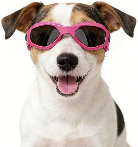 Miniatura 17 de ENJOYING Gafas de sol para perros pequeños, protección UV, gafas de sol para gatos grandes, niebla, resistentes al viento, protección contra ojos