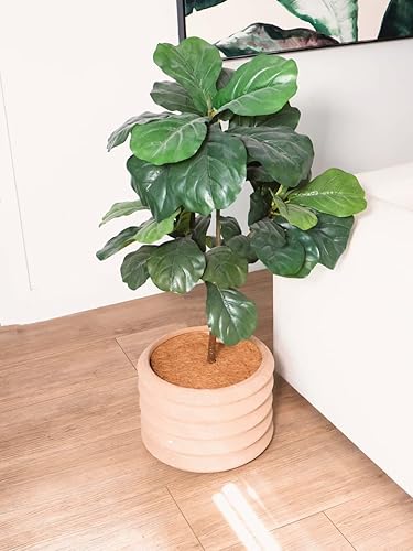 Miniatura 4 de Envelor 10 anillos de mantillo de fibras de coco de 14 pulgadas, protector de árbol, cubierta de mantillo de coco, anillos de control de malezas de