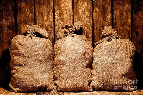 Grow Vegetables & Fruit In Grow Bags & Burlap Sack