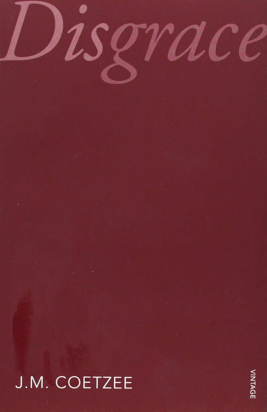 Buy Disgrace: Vintage 21 — BookShops.in