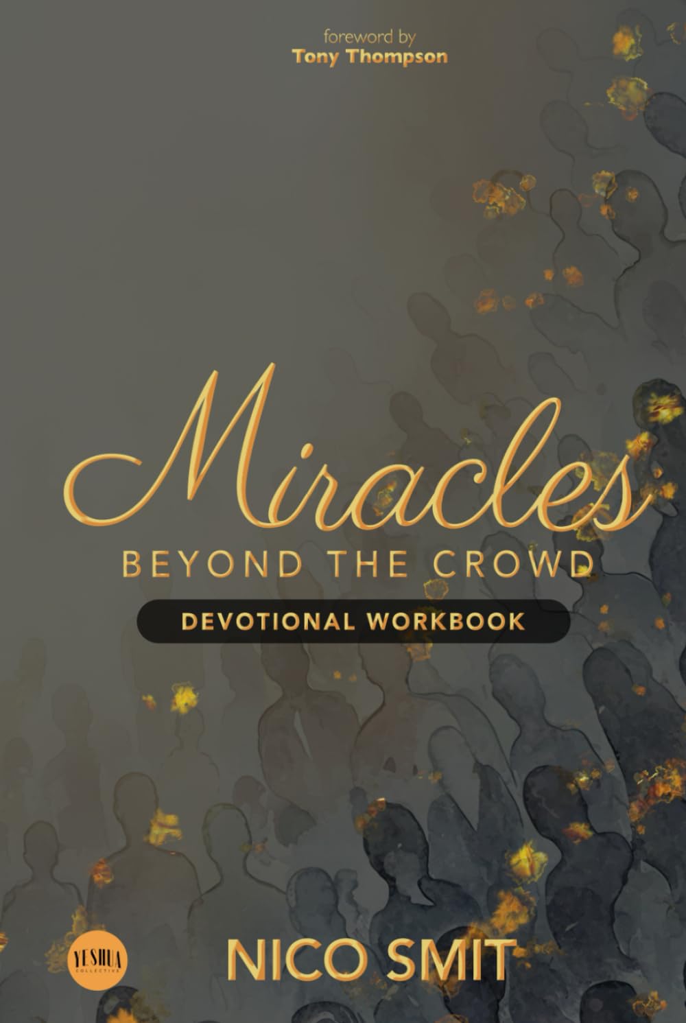 Miracles Beyond The Crowd - Devotional WORKBOOK: : Based on the original book by Nico Smit