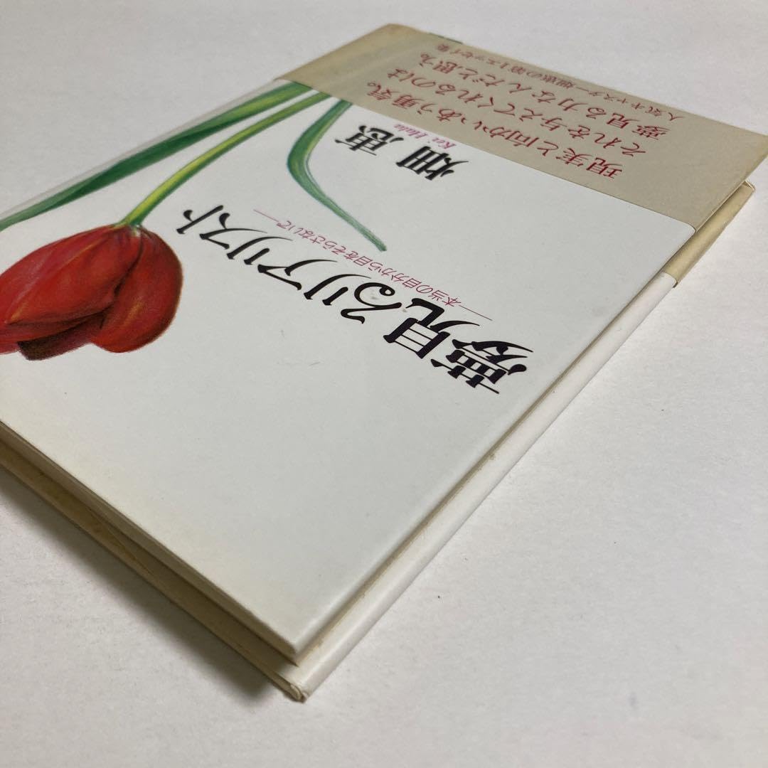 Amazon.co.jp: 夢見るリアリスト 畑恵 : Toys & Games 