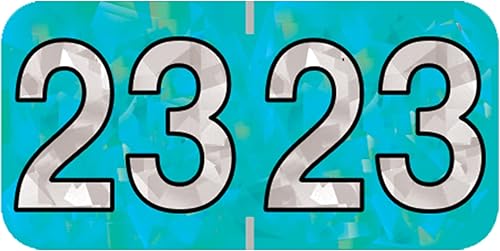 Doctor Stuff 2023 - Calcomanías para gráficos del año 2023, holográficas de color aguamarina, etiquetas de año fabricadas en Estados Unidos