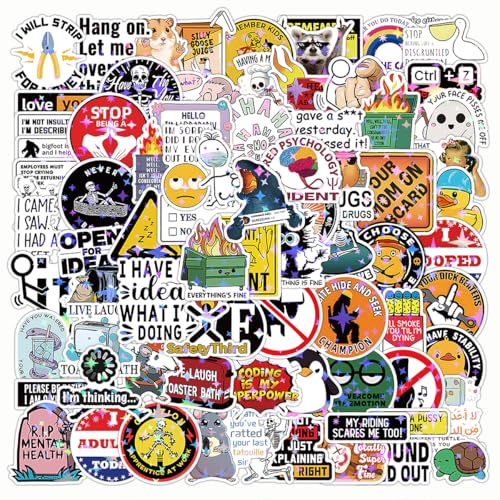 Funny Meme Sticker Pack Sarcastic Waterproof Decals for Water Bottles Laptops Bumper Adult Humour Stickers for Adult Teens Girls